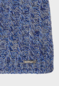 Cactus Bleu